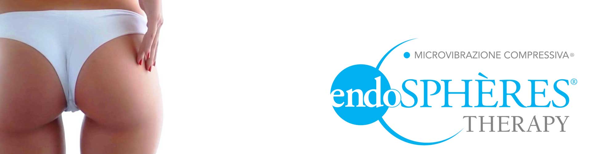 Endospheres Logo